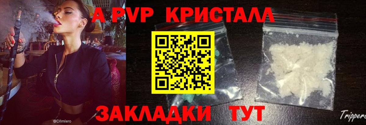Псилоцибиновые грибы Сафоново