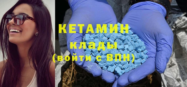 шишки Болотное