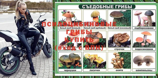 тгк Новозыбков