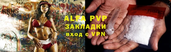 тгк Новозыбков