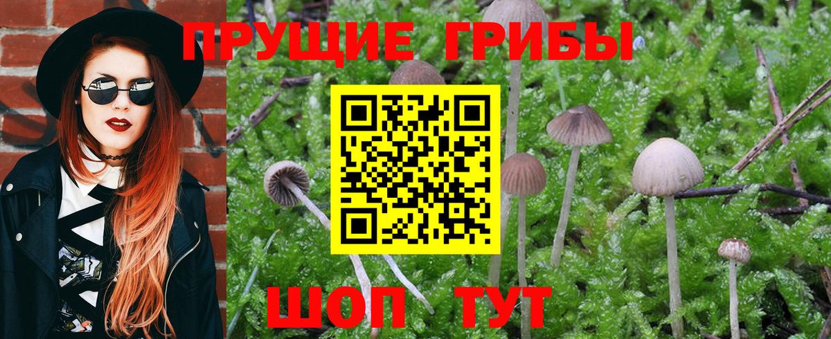 Галлюциногенные грибы мухоморы Сафоново