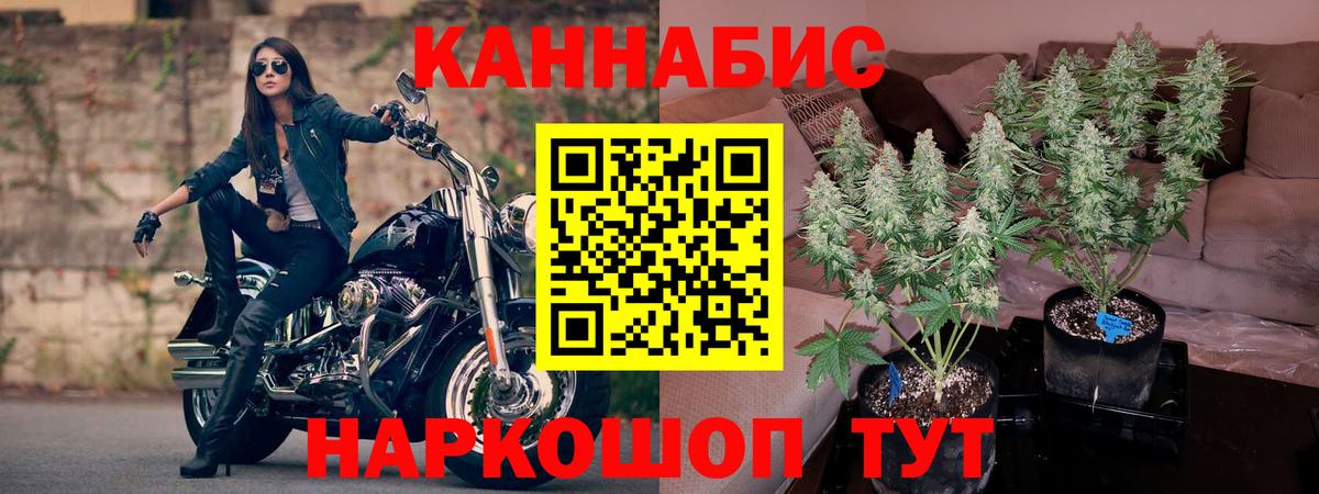 Бошки марихуана планчик Сафоново
